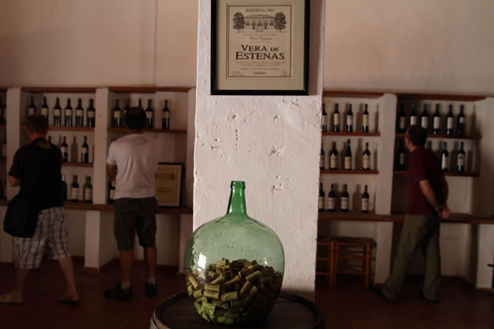 Sala de exposición y catas
